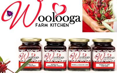 Wooloolga Farm Kitchen