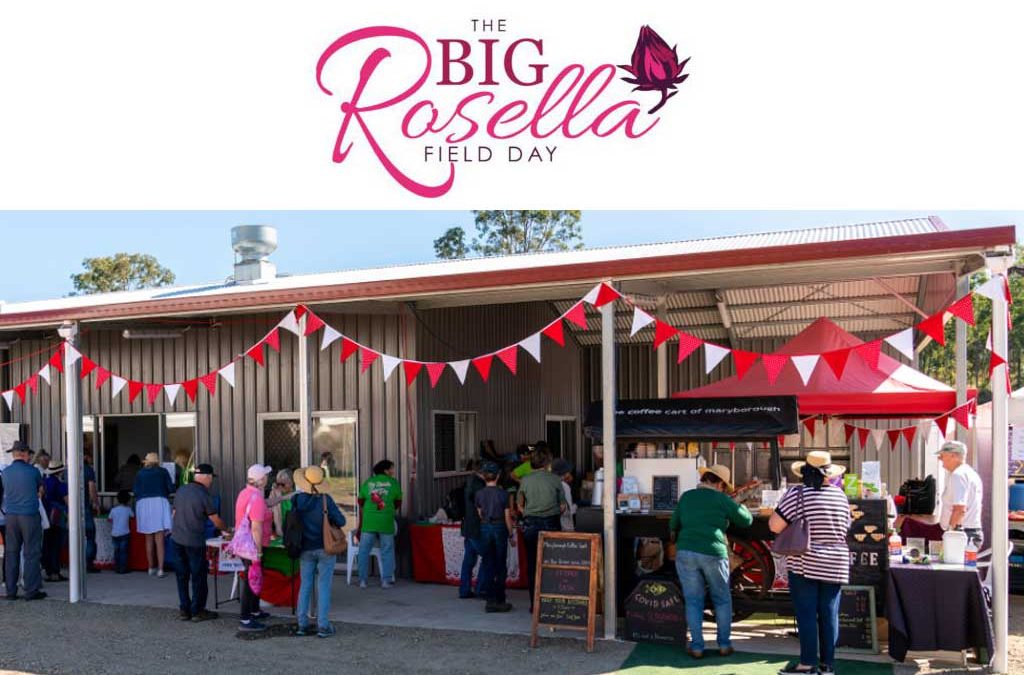 Big Rosella Field Day 2024