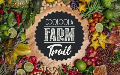 Cooloola Farm Trail 2024