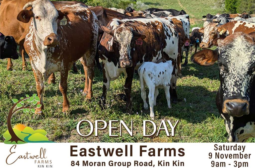 Eastwell Farm Open Day – 9 November